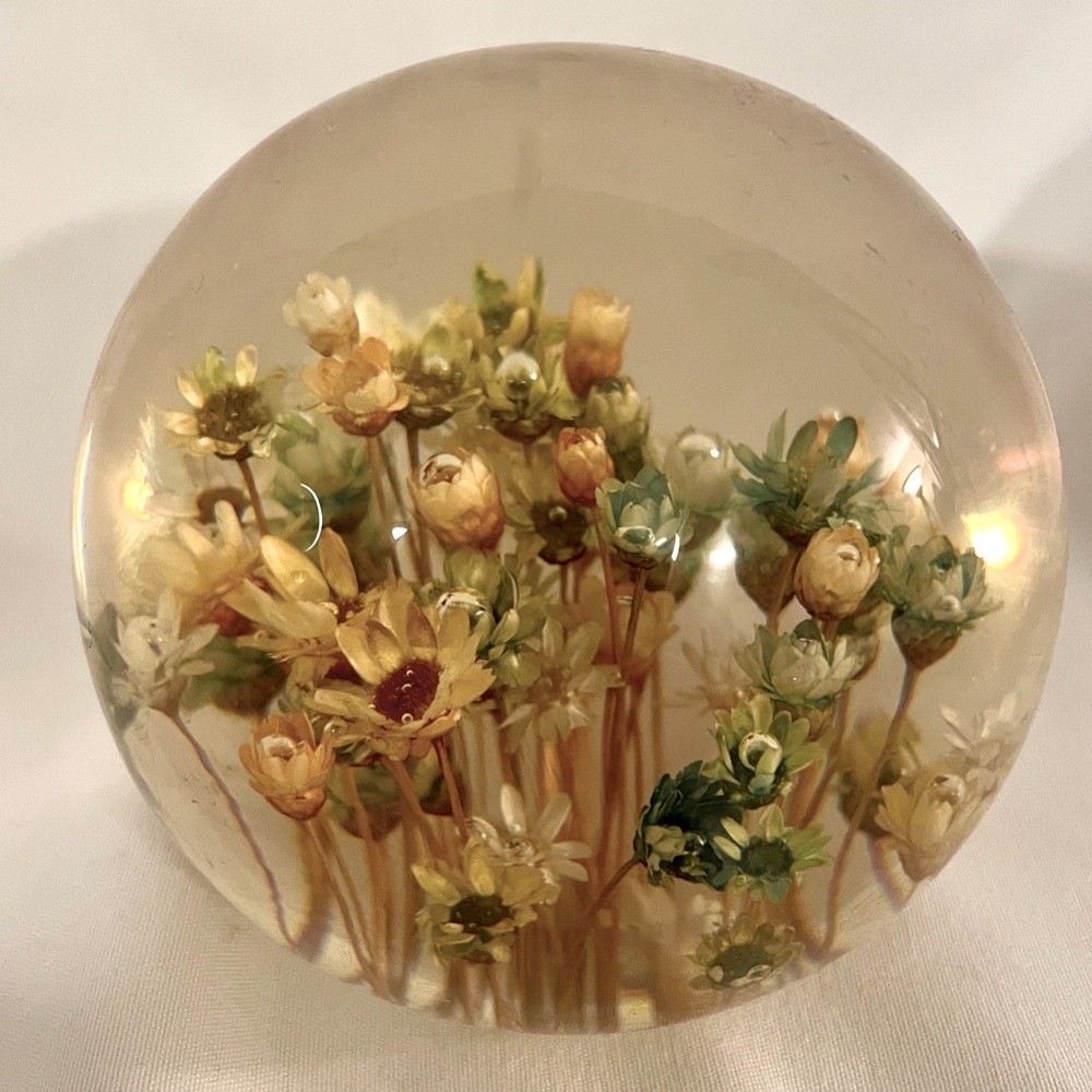 Lucite Floral Paperweight Vintage Daisyglas Co Resin Dried Flowers MCM 3” Round